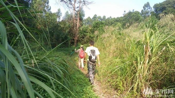 (1)參加有禮 周六中午六片山穿越！永泰->大源，遇見“天池”-戶外活動圖-駝鈴網(wǎng)