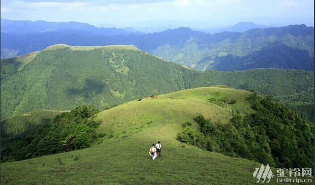 (12)【成行】廣東“武功山” 羅定八排山最美高山草甸-戶外活動圖-駝鈴網(wǎng)