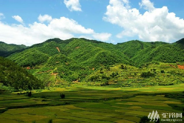 (11)【成行】廣東“武功山” 羅定八排山最美高山草甸-戶外活動圖-駝鈴網(wǎng)