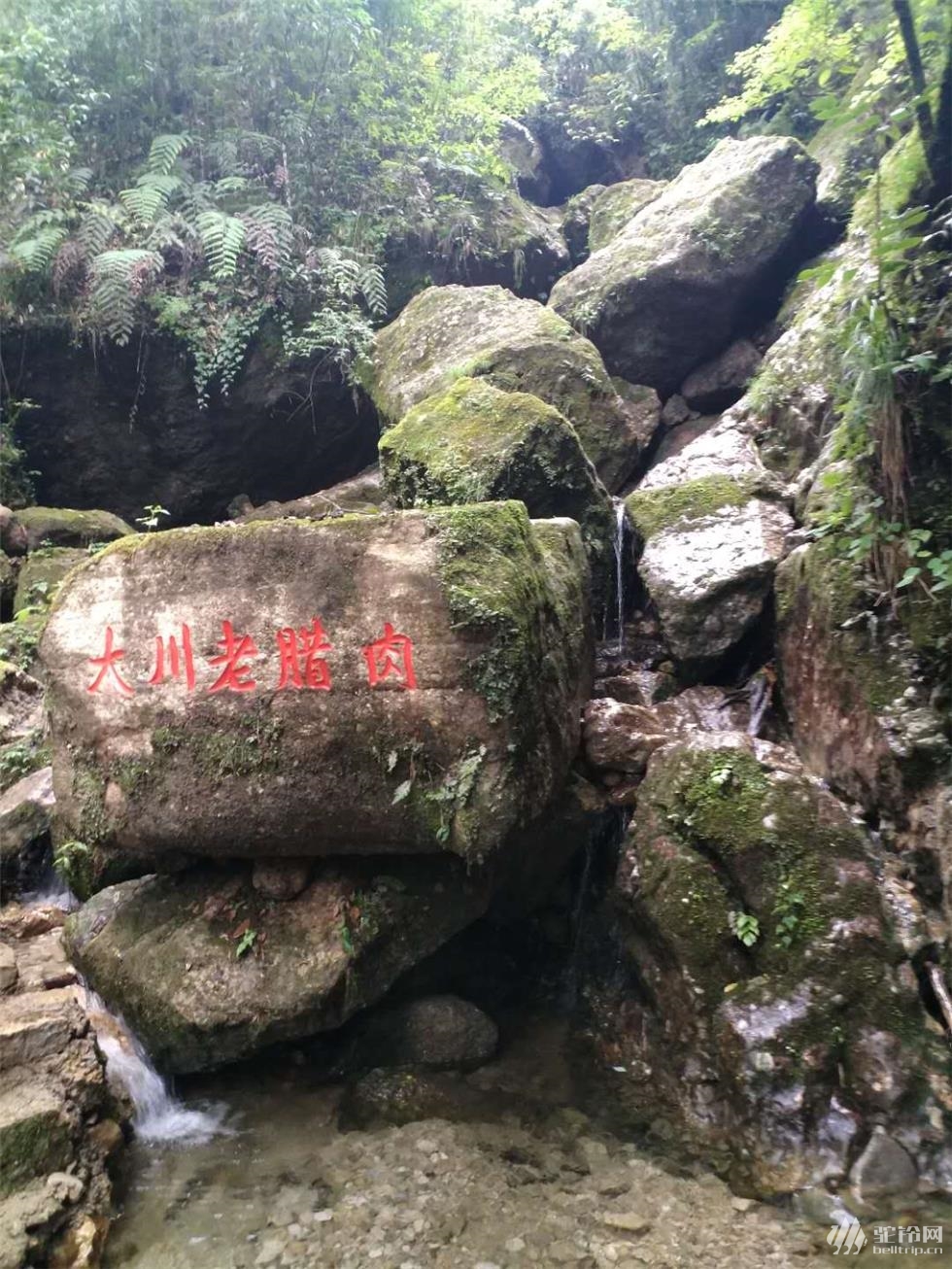 蘆山猴山飛瀑 