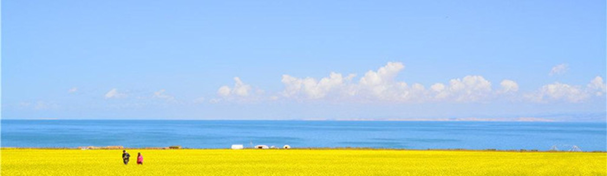 大美青海，中國最美的夏天在這里!